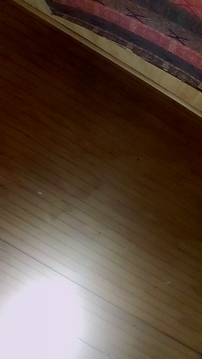 MerlotInvierno