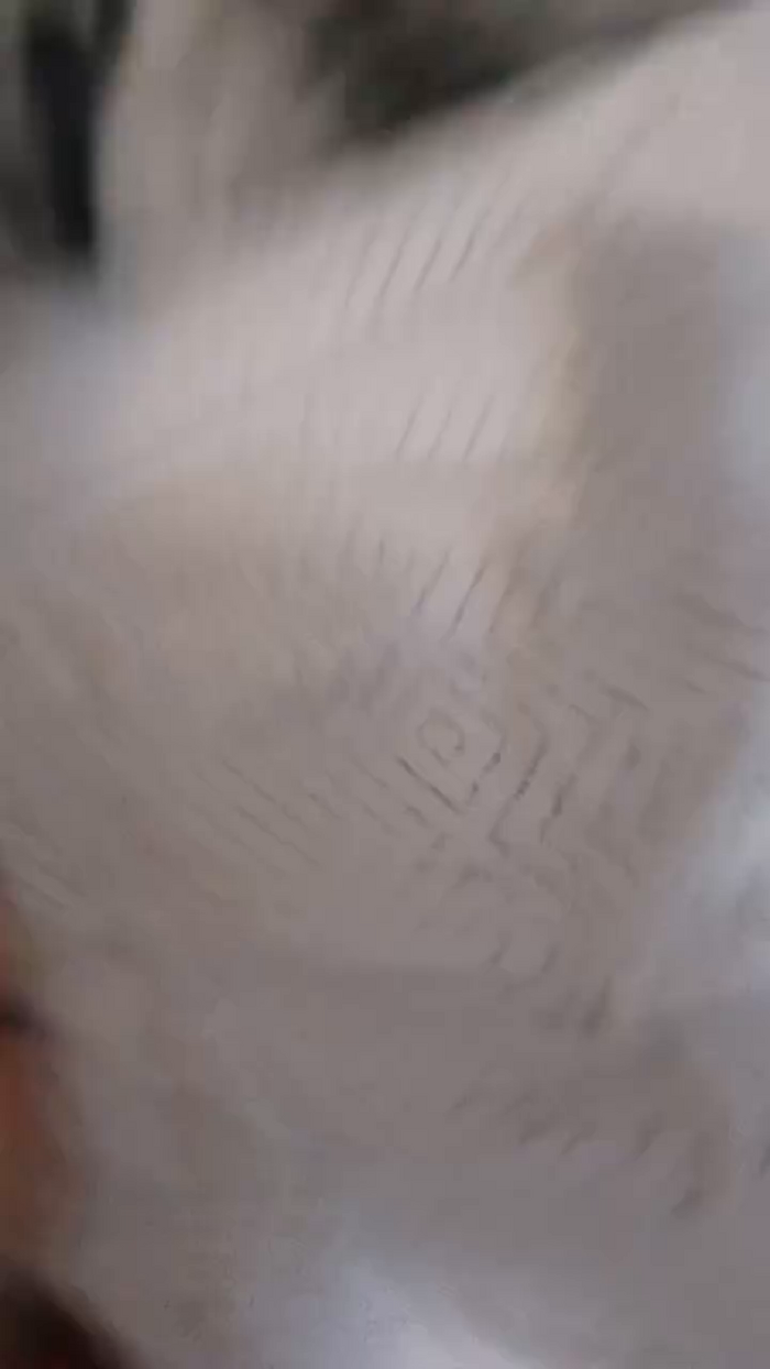 alessandravite1