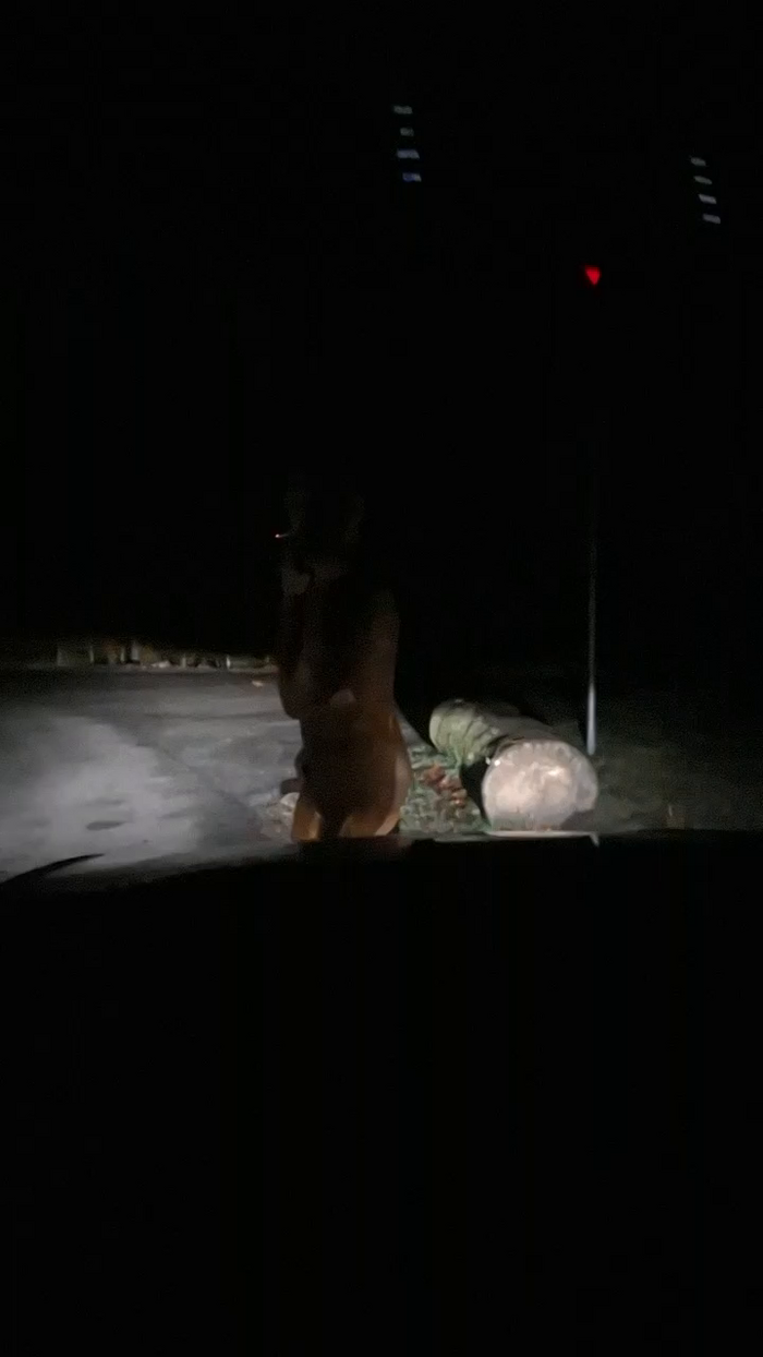 publicpppig1