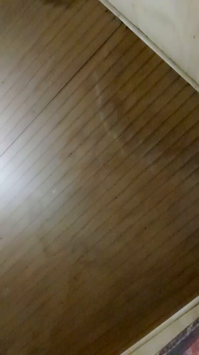 MerlotInvierno