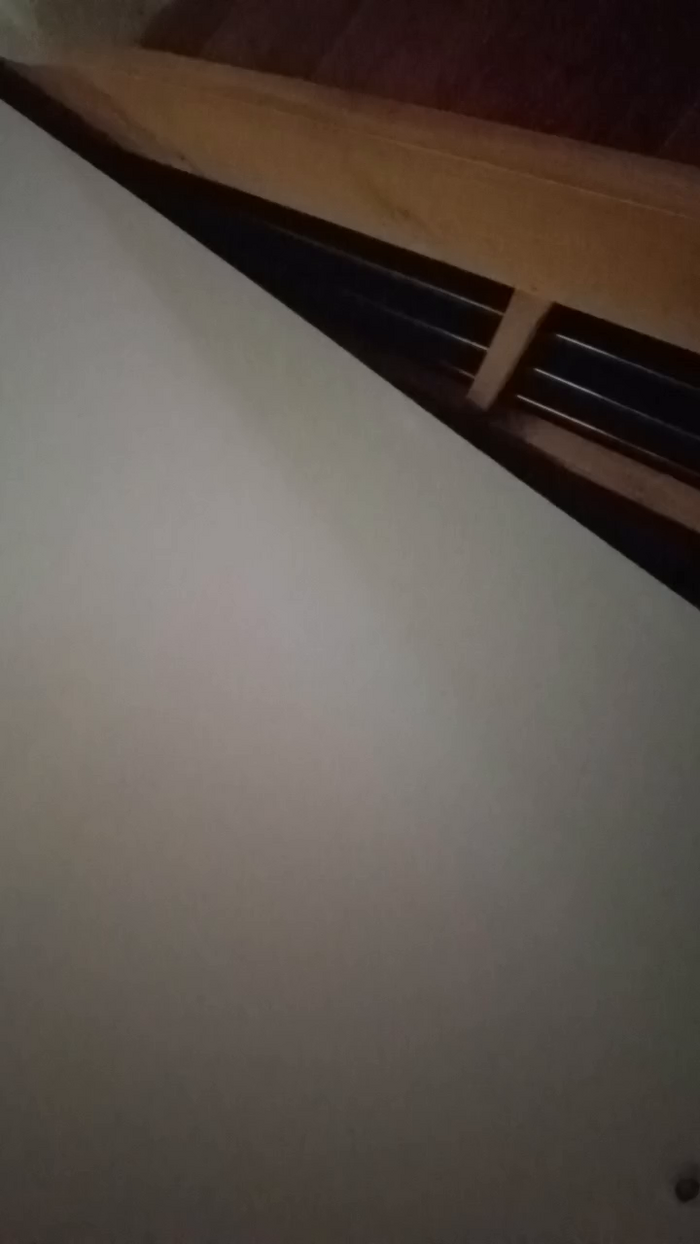 Auvergine