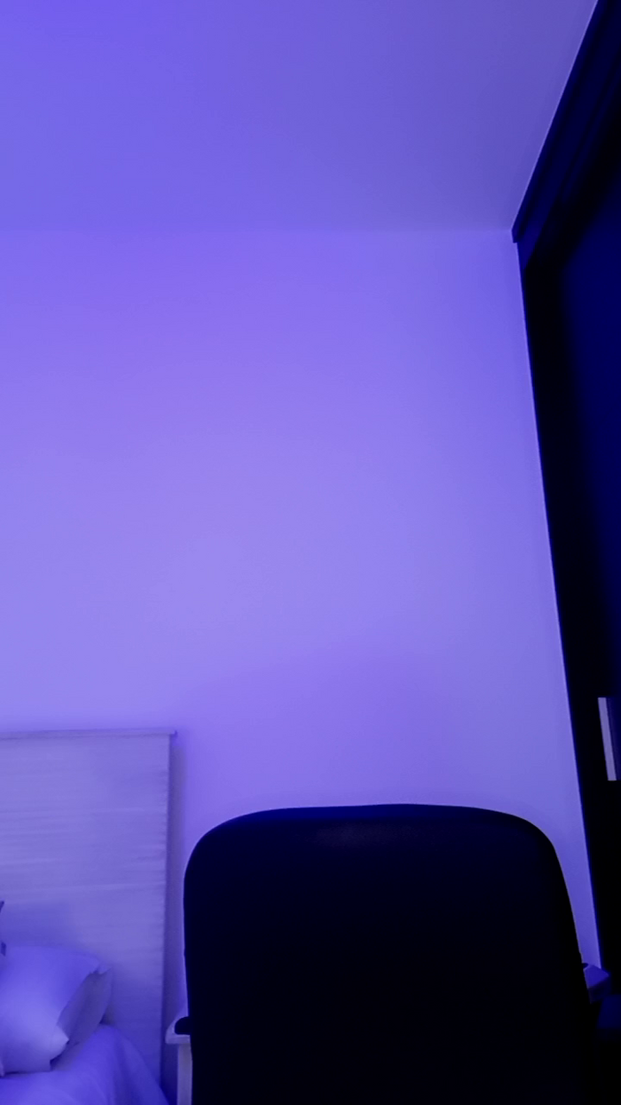 MonyCat_
