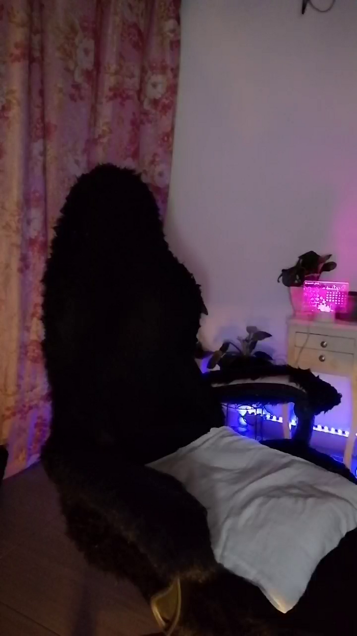 CrazyMom69