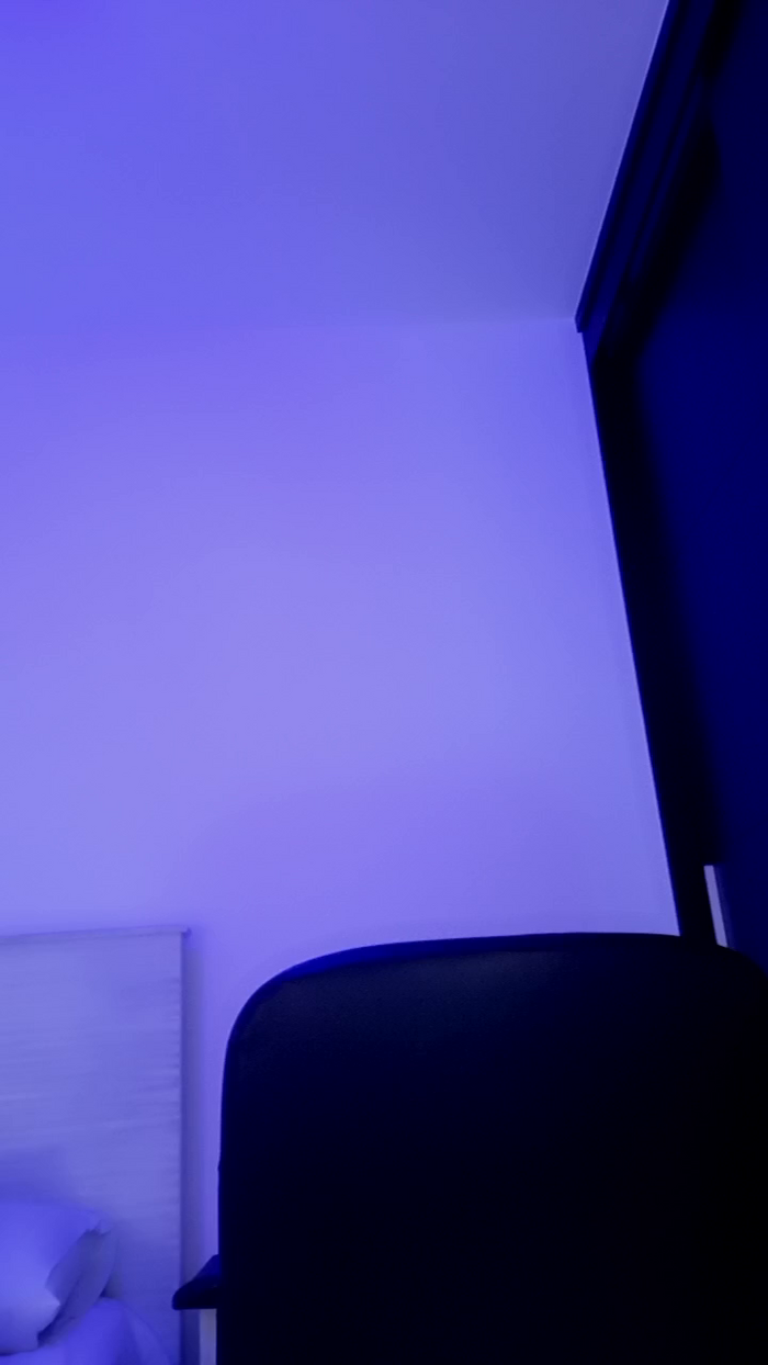 MonyCat_