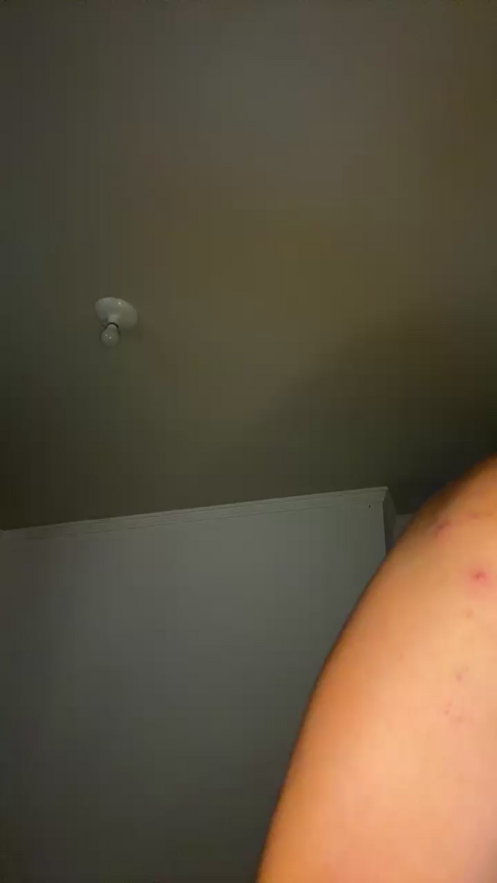 Pedrobarboza01