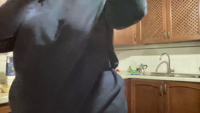martinabigst