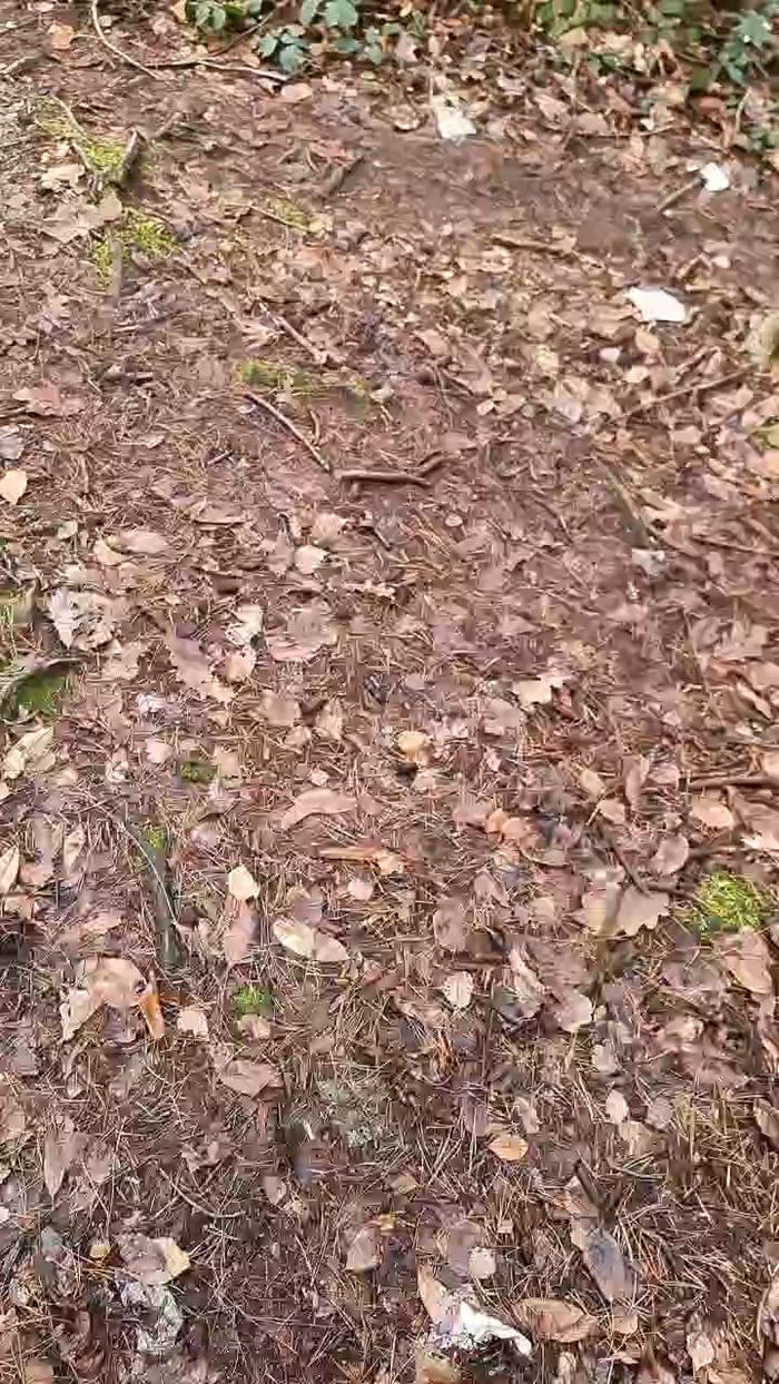 Outdoorgeil1