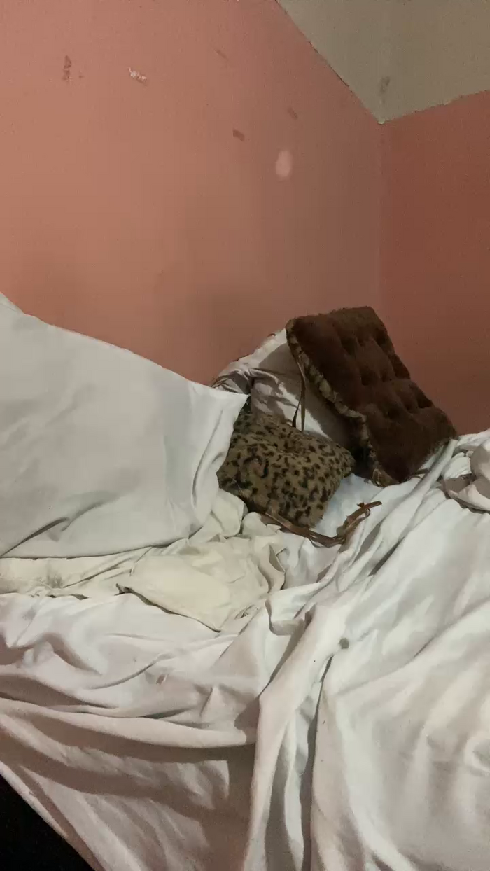 kittyvol