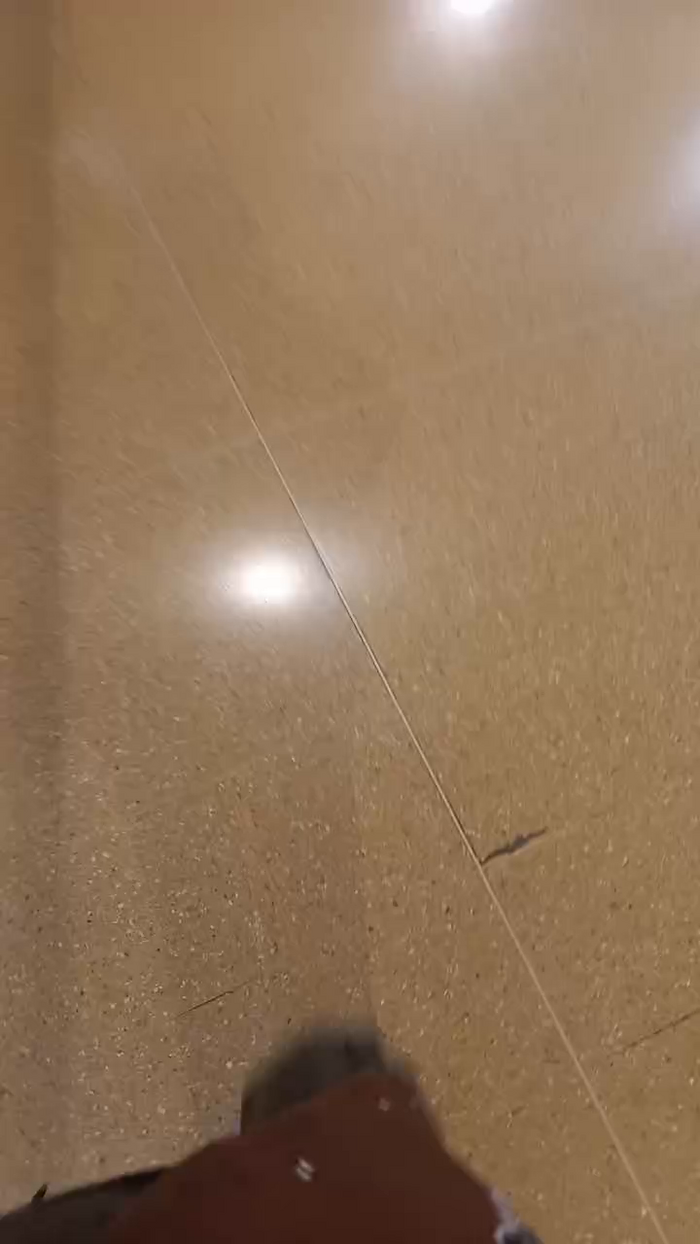 zoe_kimm