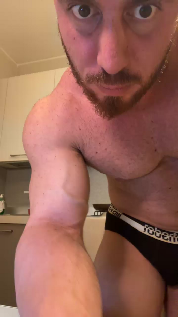 Bigwhitebull