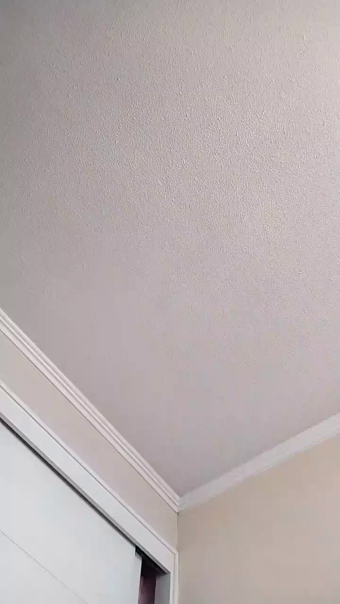 Latinaakita4