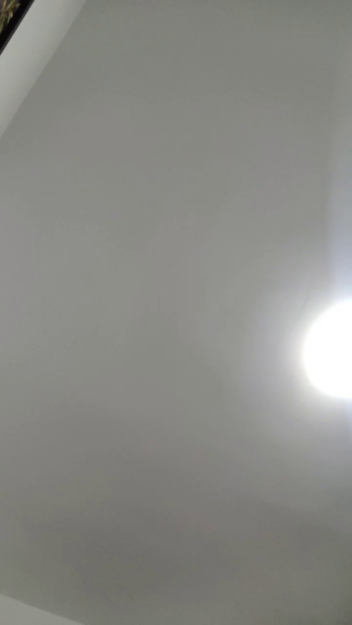manefuego