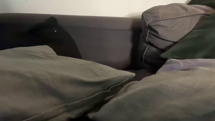 2boys1couple