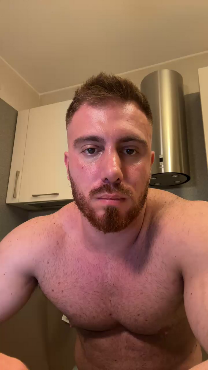 Bigwhitebull