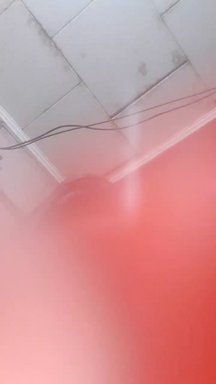 Tuconejita22
