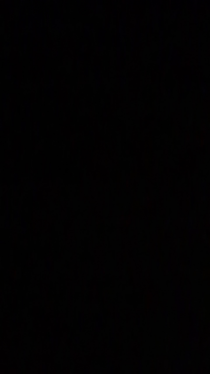 Actif69008