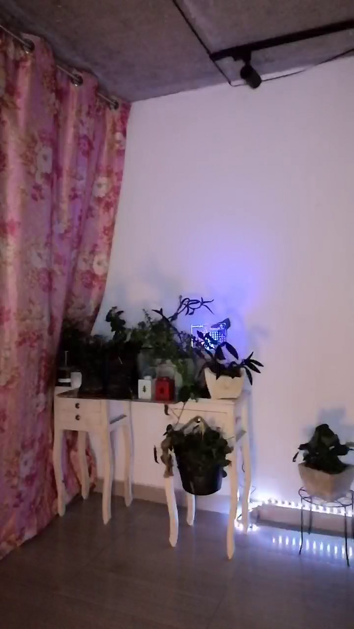 CrazyMom69