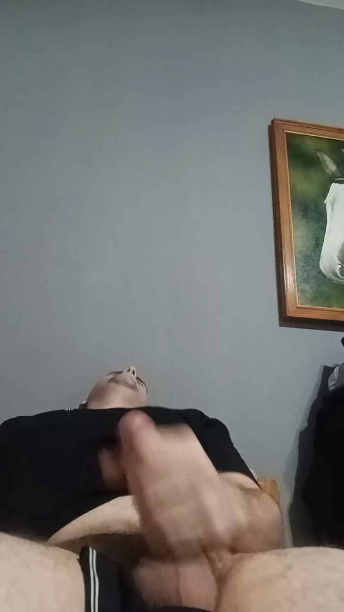 D4n1elsebastian