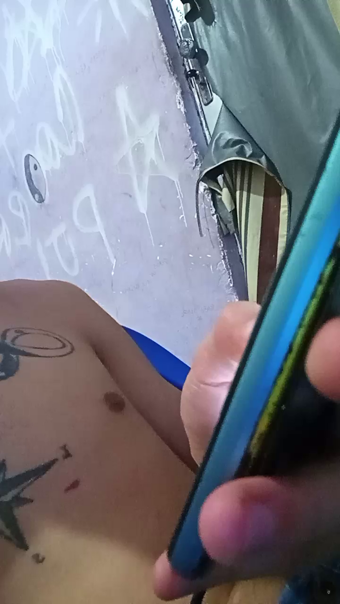 GatoXVD