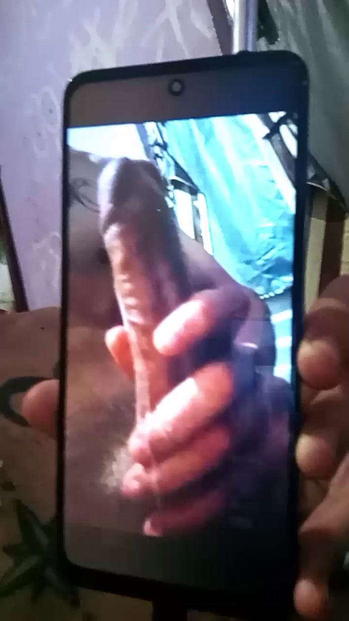 GatoXVD