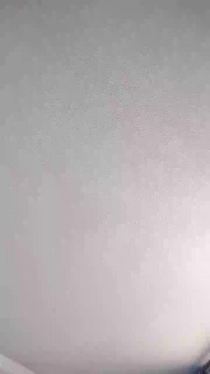 Latinaakita4