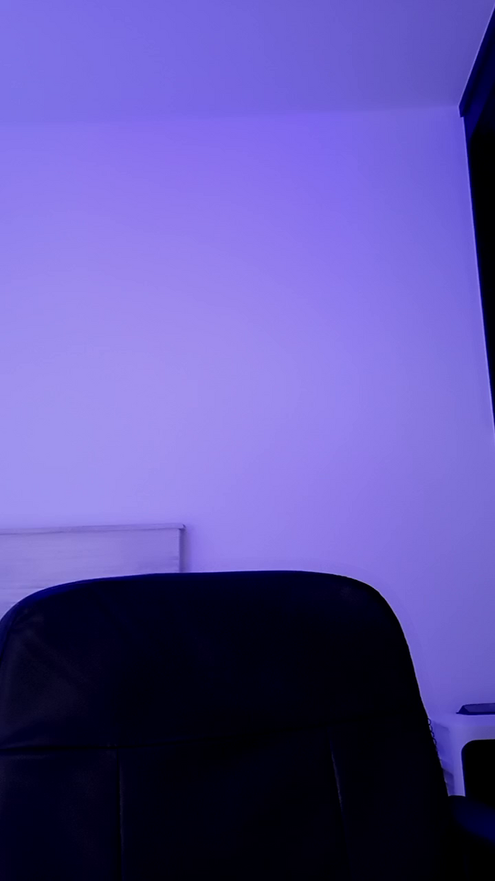 MonyCat_