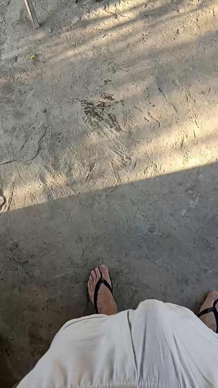 magrogostoso1