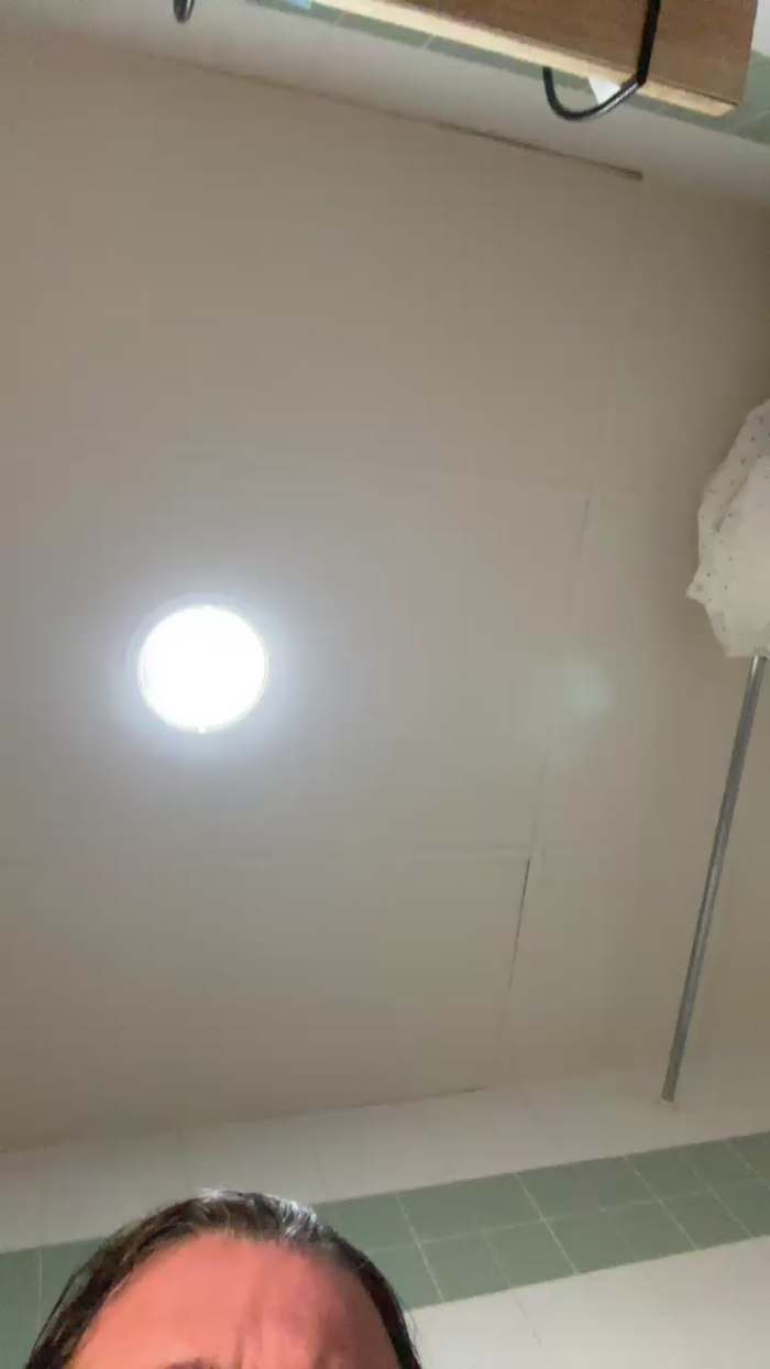Pollon29_cm