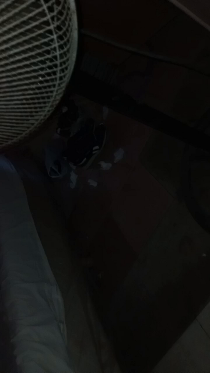 Damyhsex