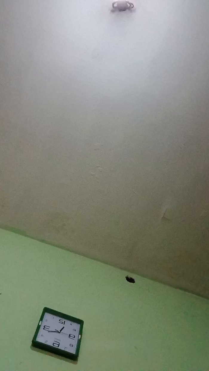 AilecC426