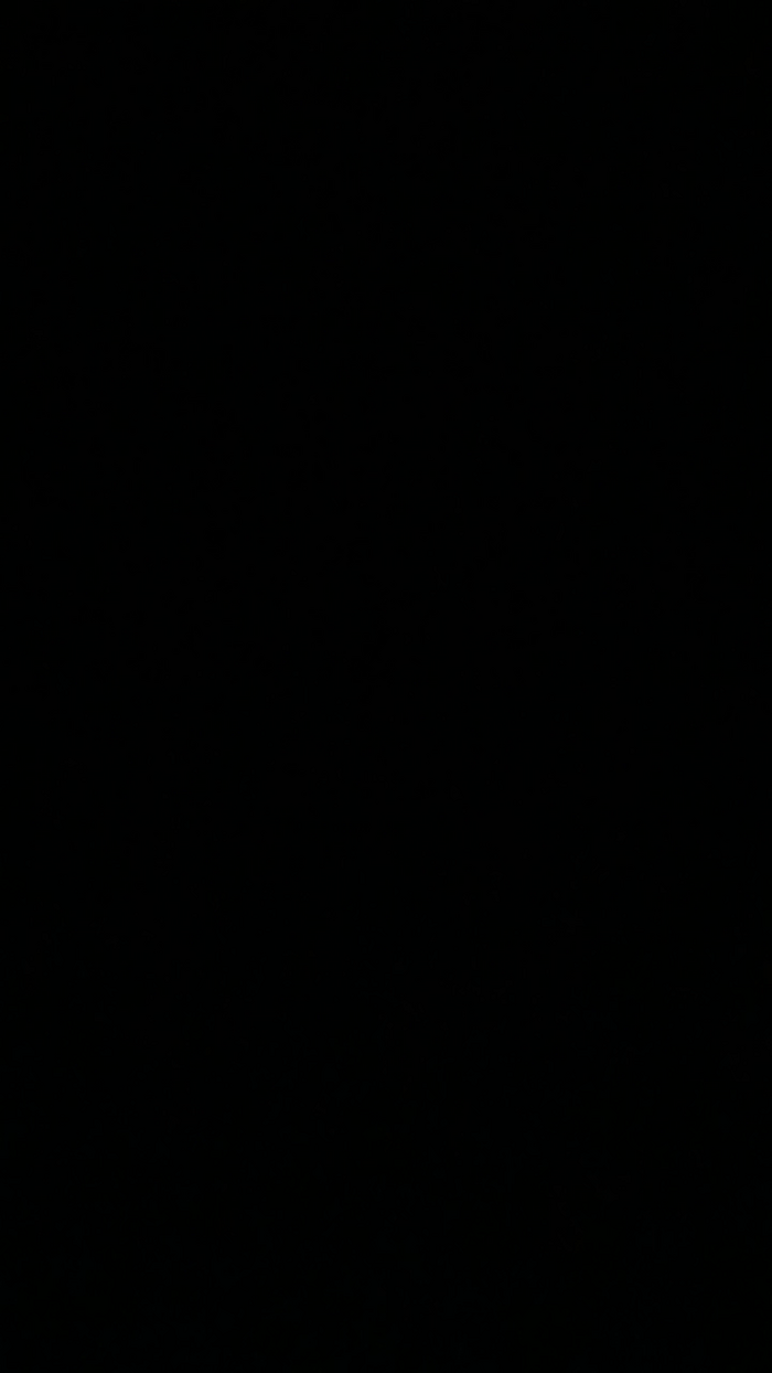 alessandravite1