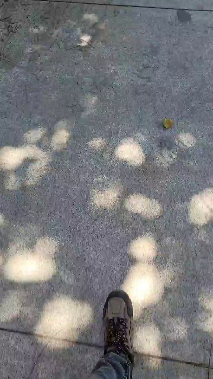 RifterManu