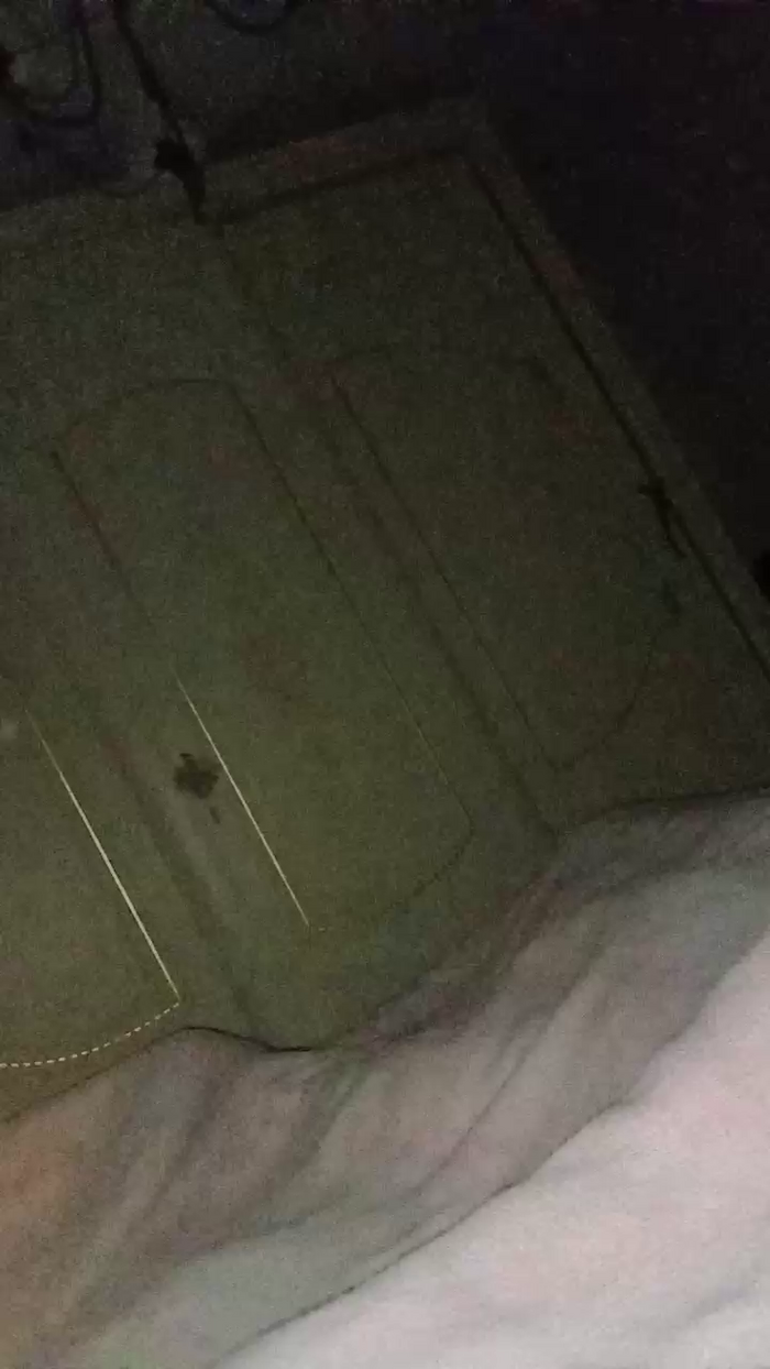 Divertiamoci86