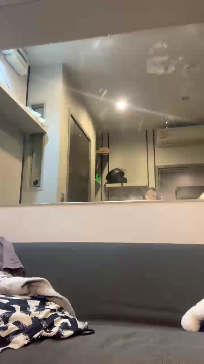asian_lena