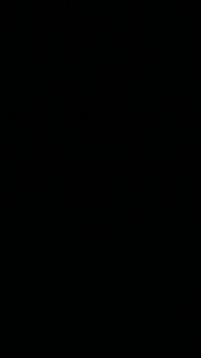 alessandravite1