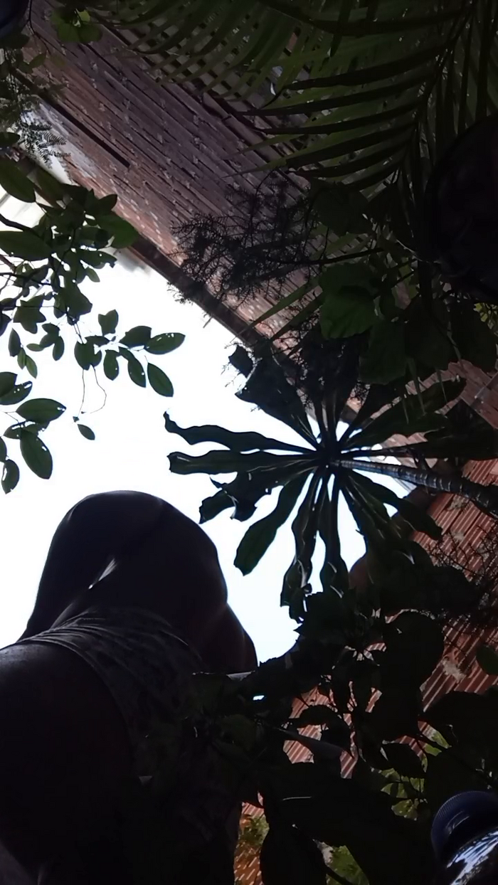 Sexylatinogay