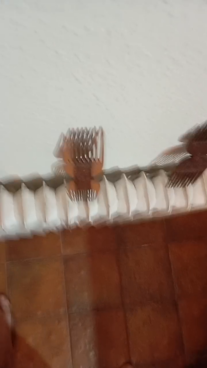 itsmydicker