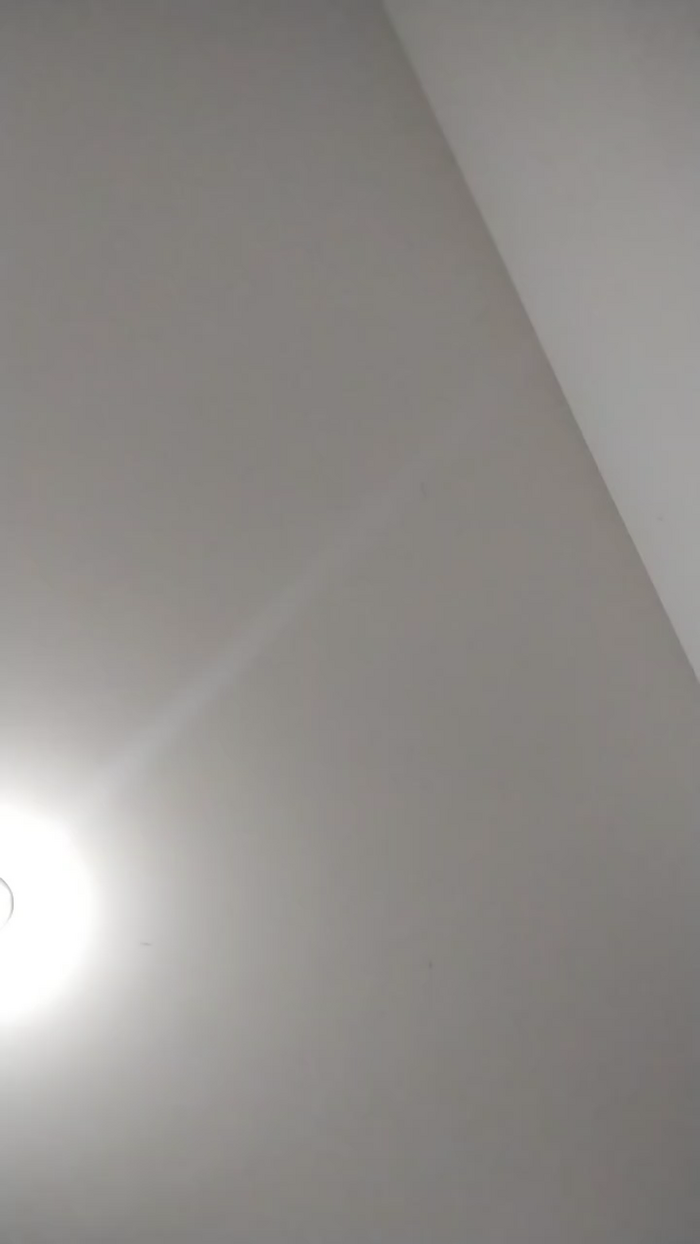 hanna_fox3
