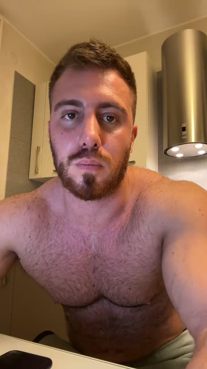 Bigwhitebull