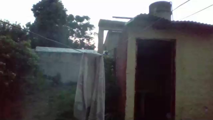 lio_1