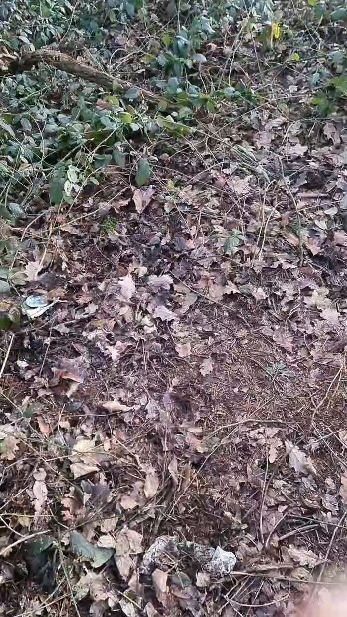 Outdoorgeil1