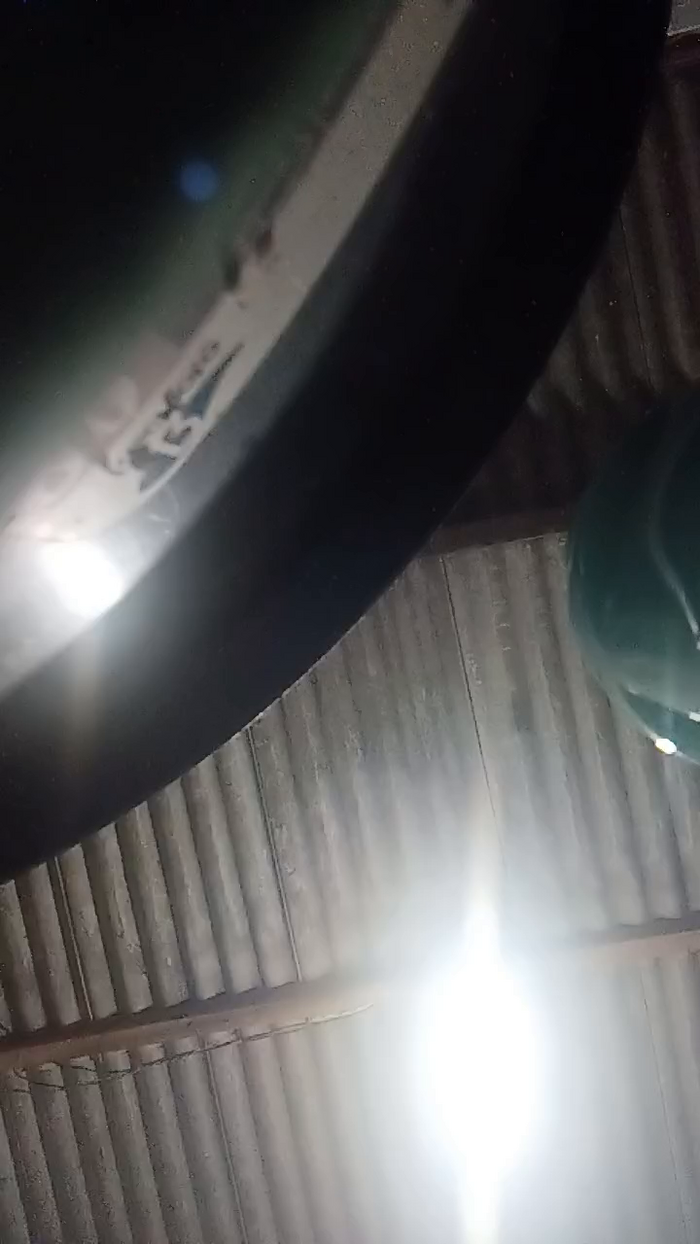 AuroraLiz