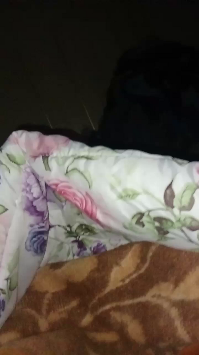 Divertiamoci86