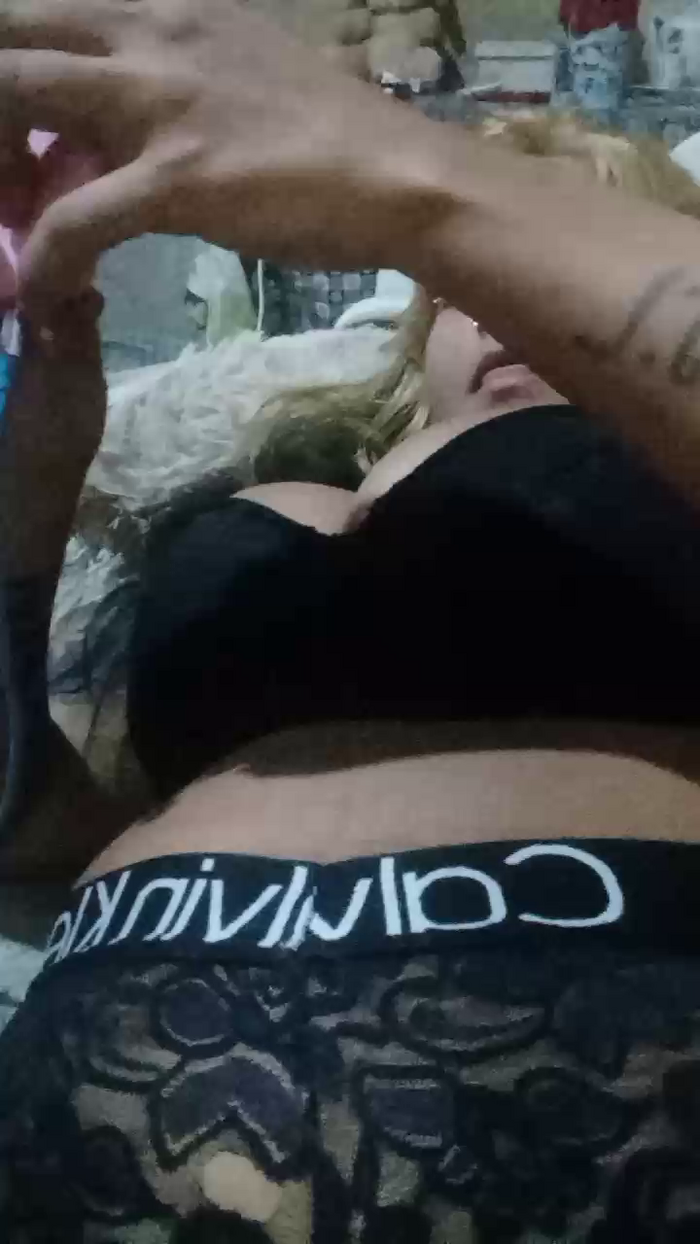Gatinhas2025