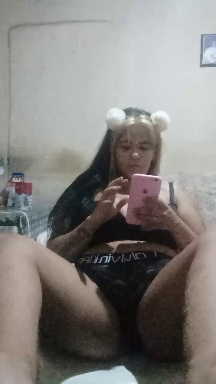 Gatinhas2025