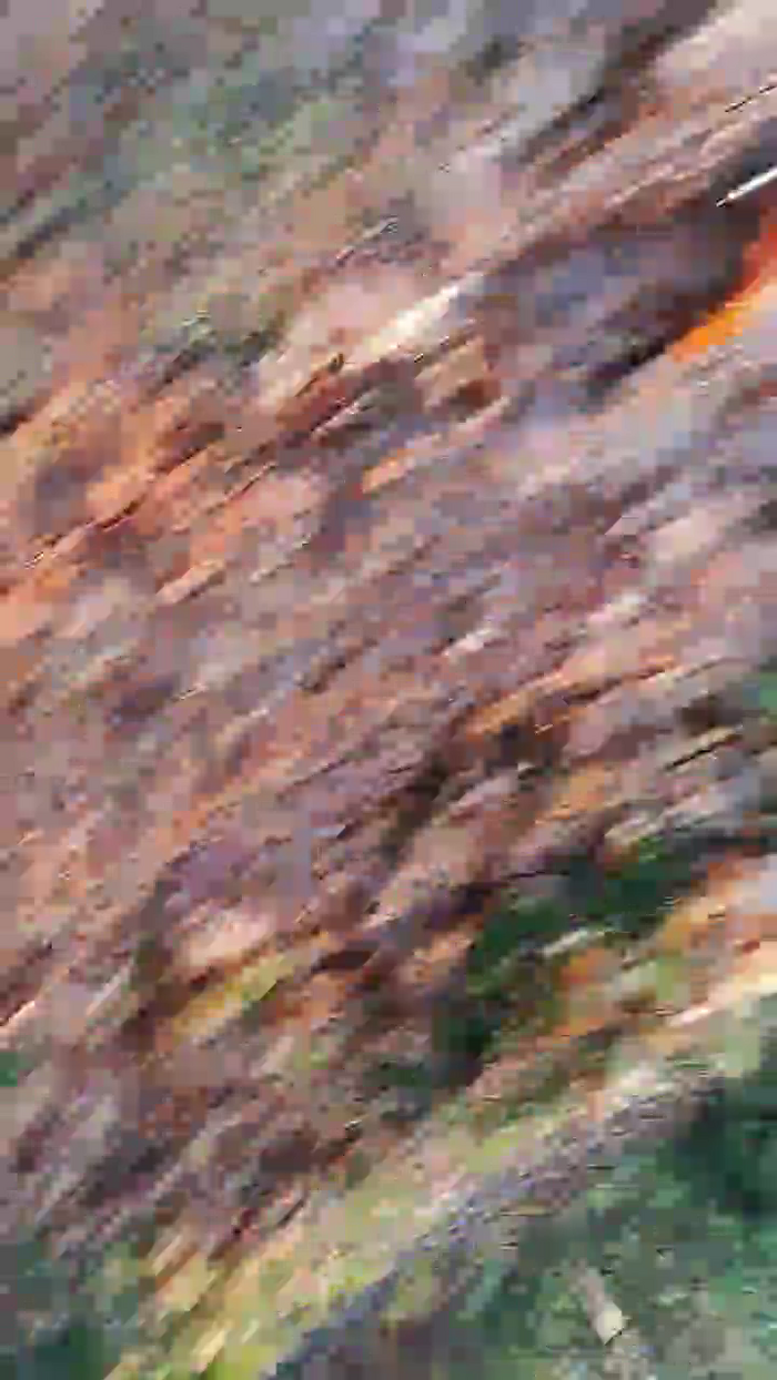 Sletkelly