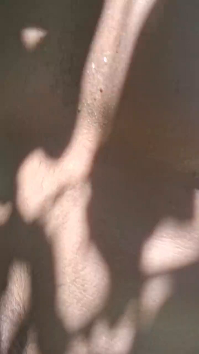 Ksadoafim69
