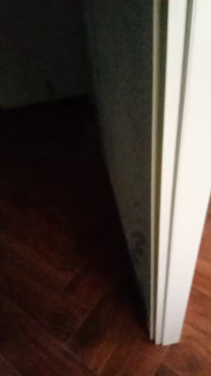 Divertiamoci86