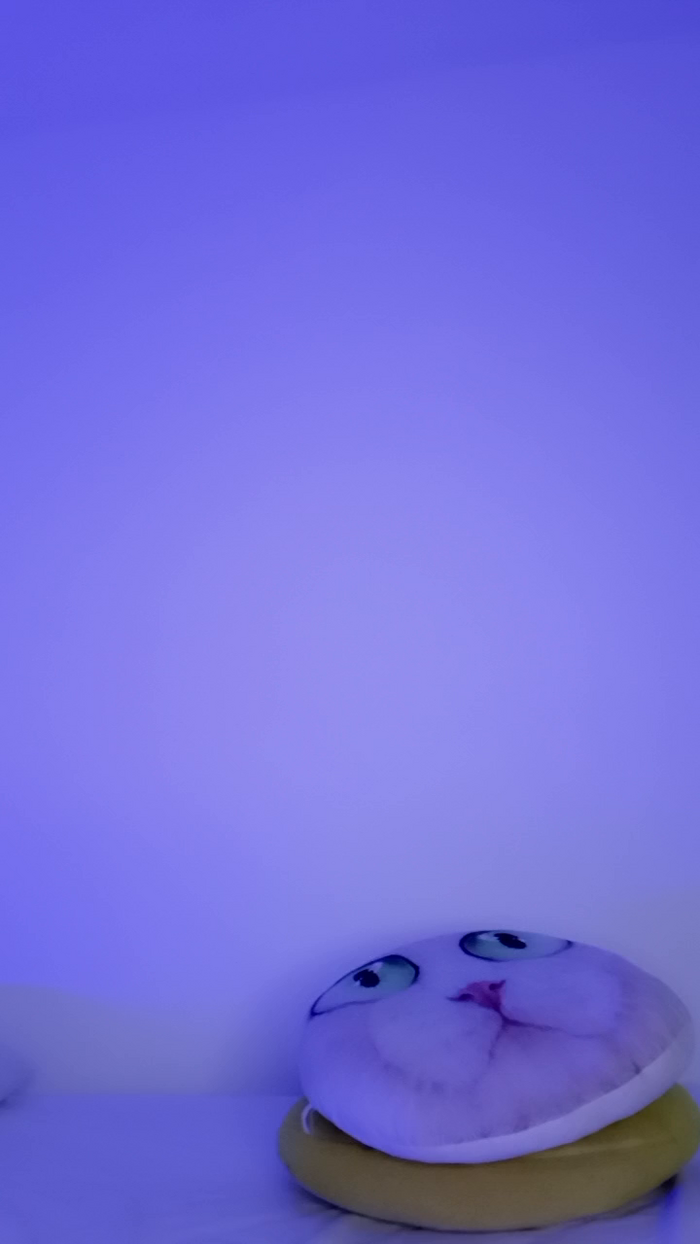 MonyCat_