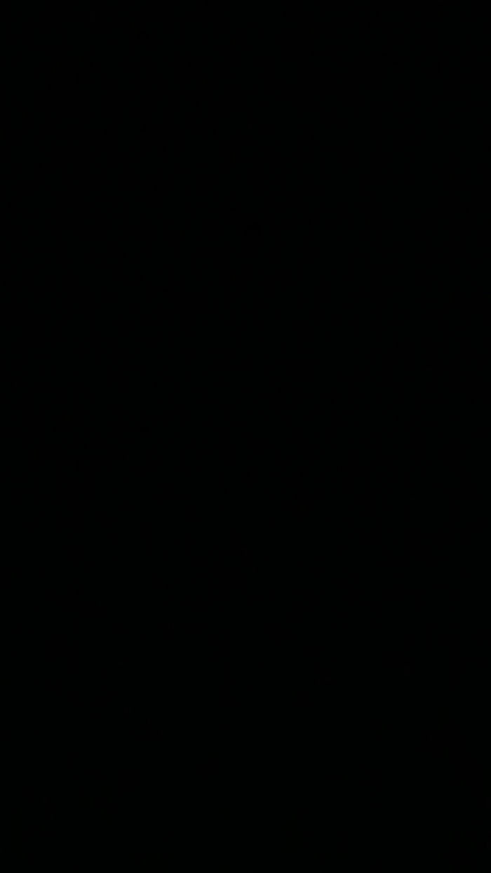 alessandravite1